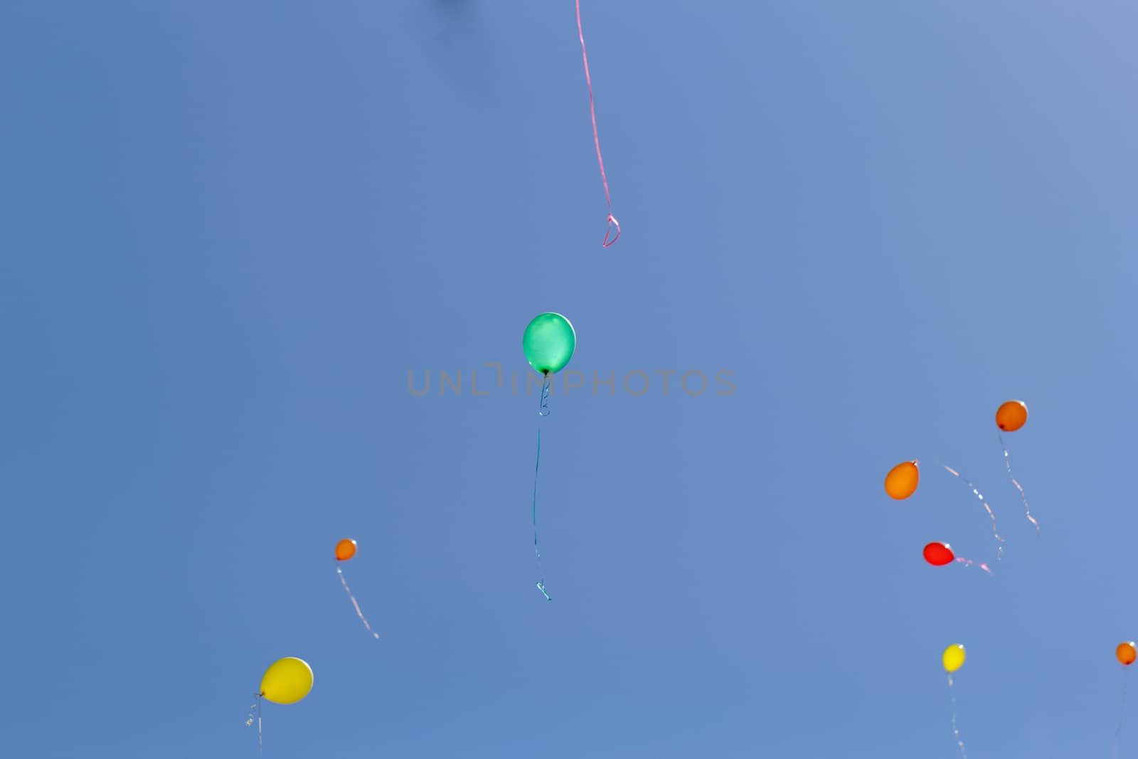 color balloons flying to the sky