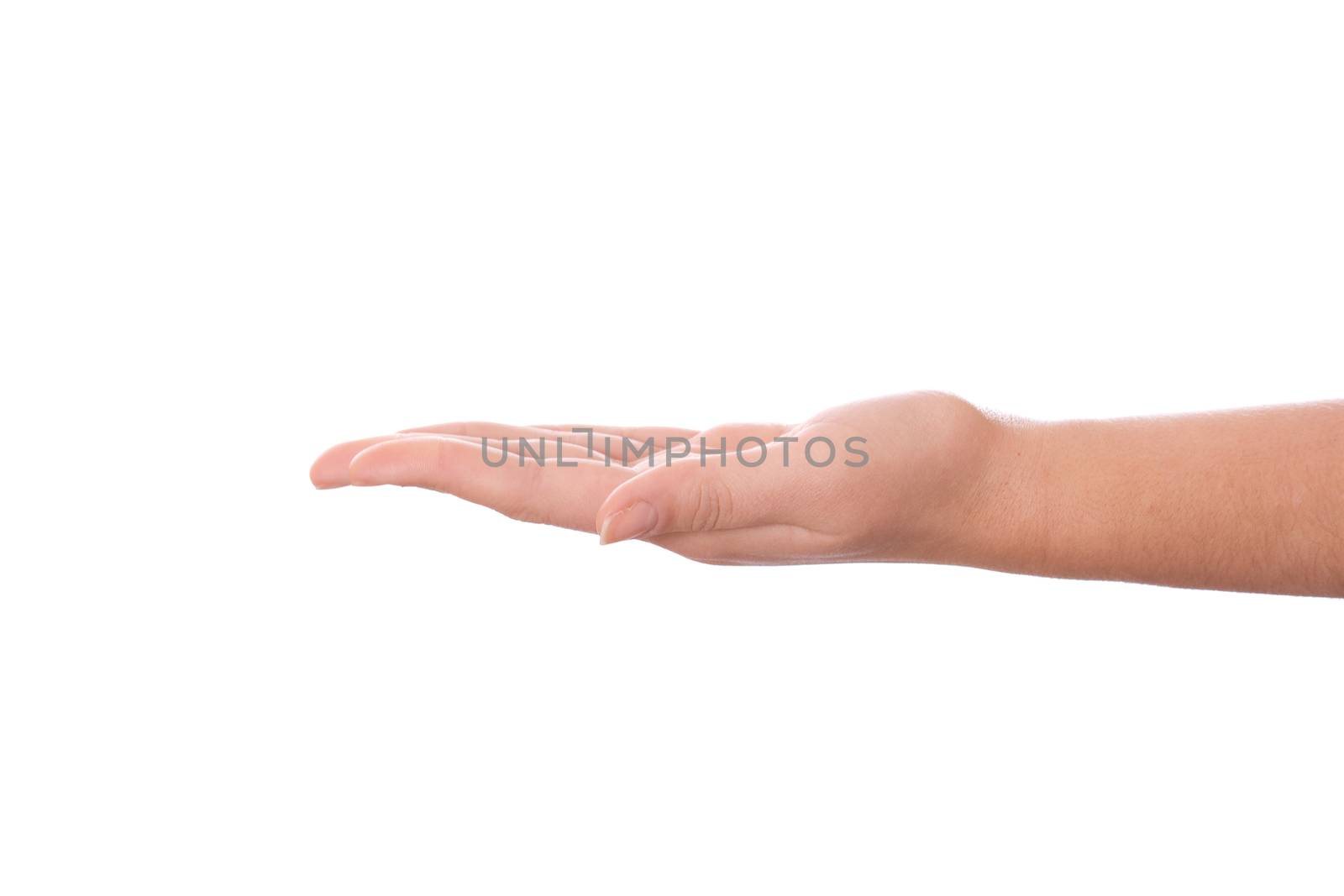 Woman's open hand on a white background