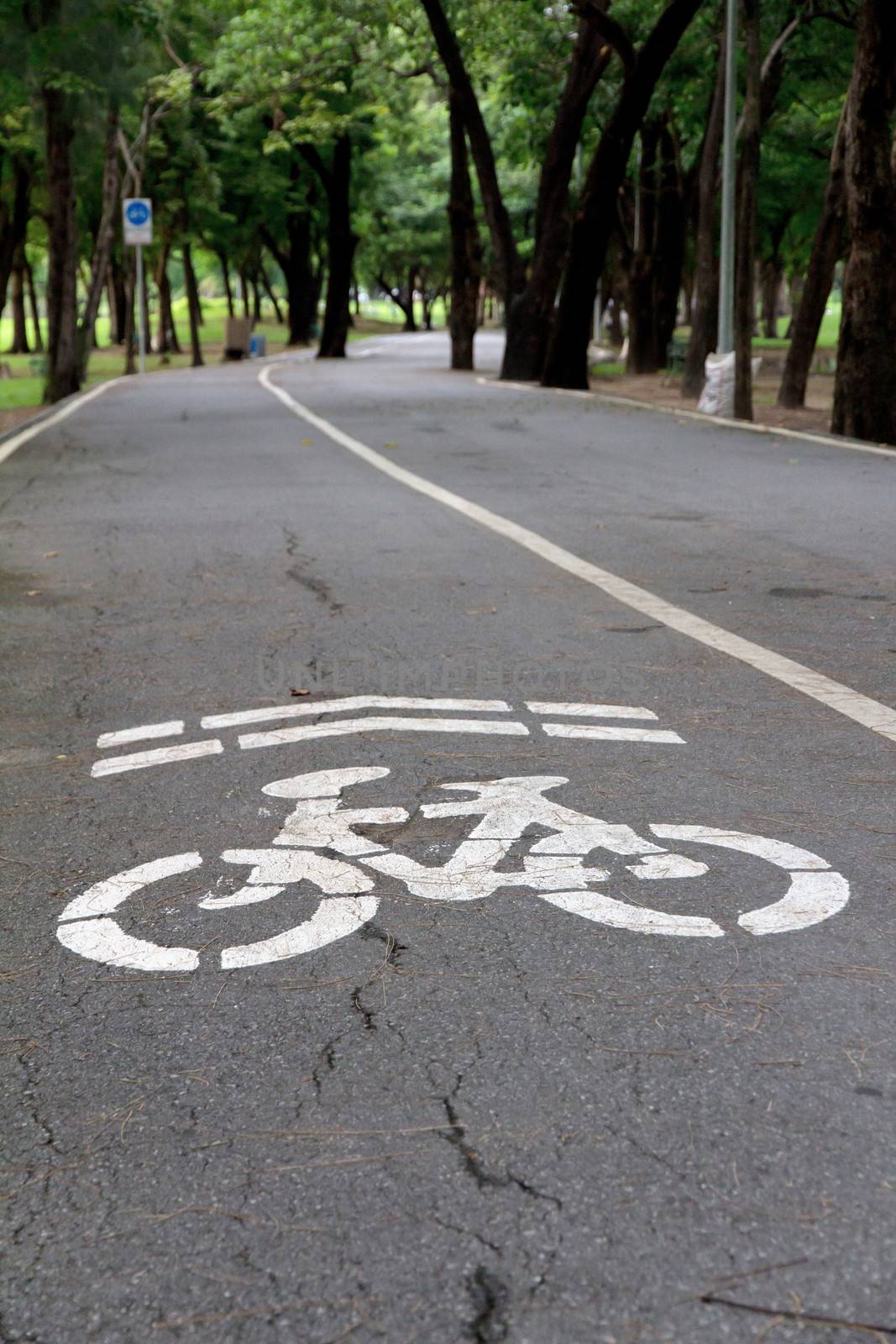 Bike lane in the park by ponsulak