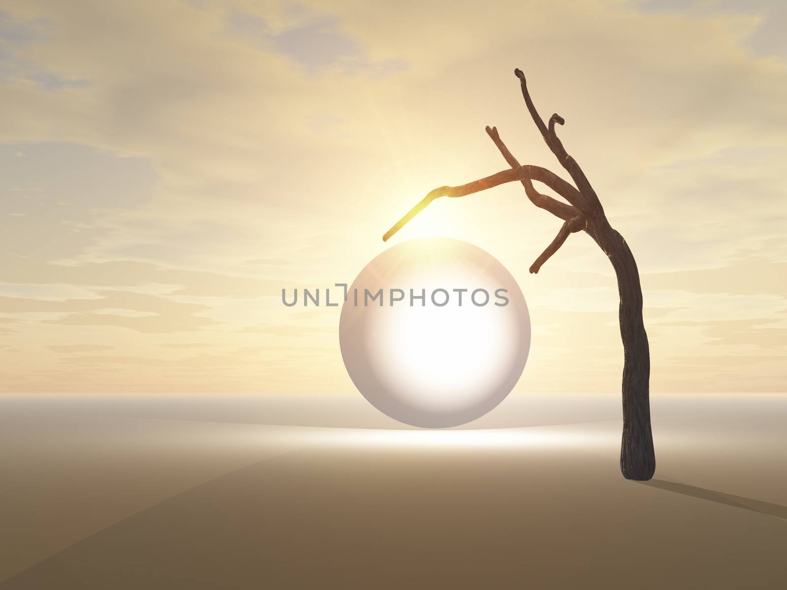 Glowing Globe Under Desert Tree by truelight