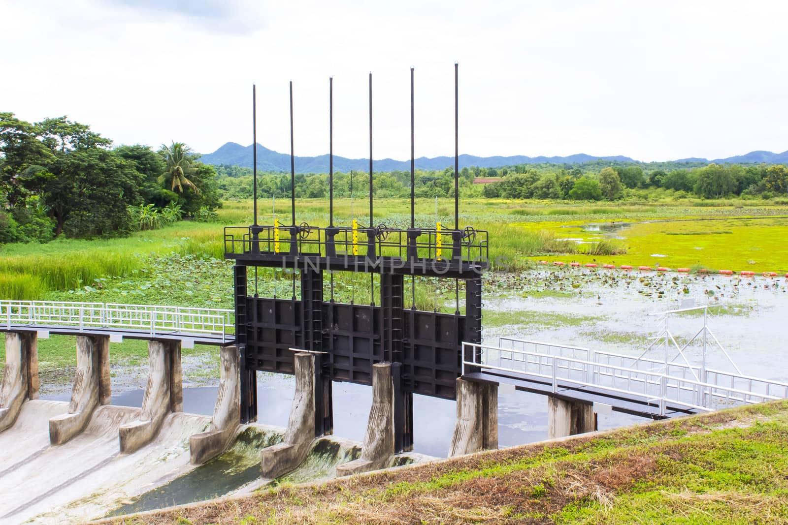 Water Gates for Irrigation by sutipp11