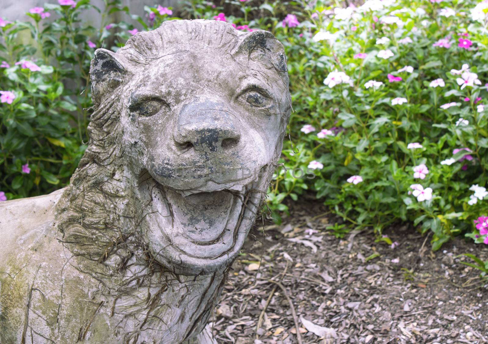 lion statue in park by sutipp11