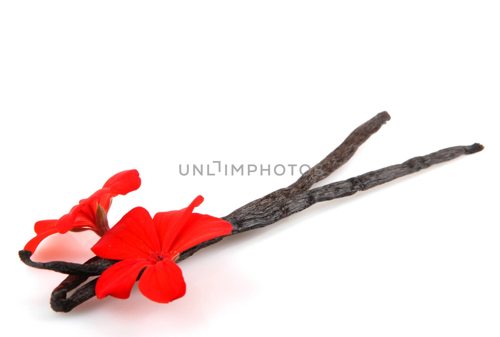 Vanilla Bean And Flower