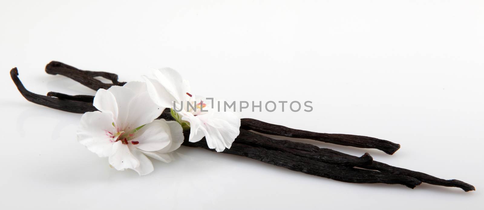 Vanilla Bean And Flower