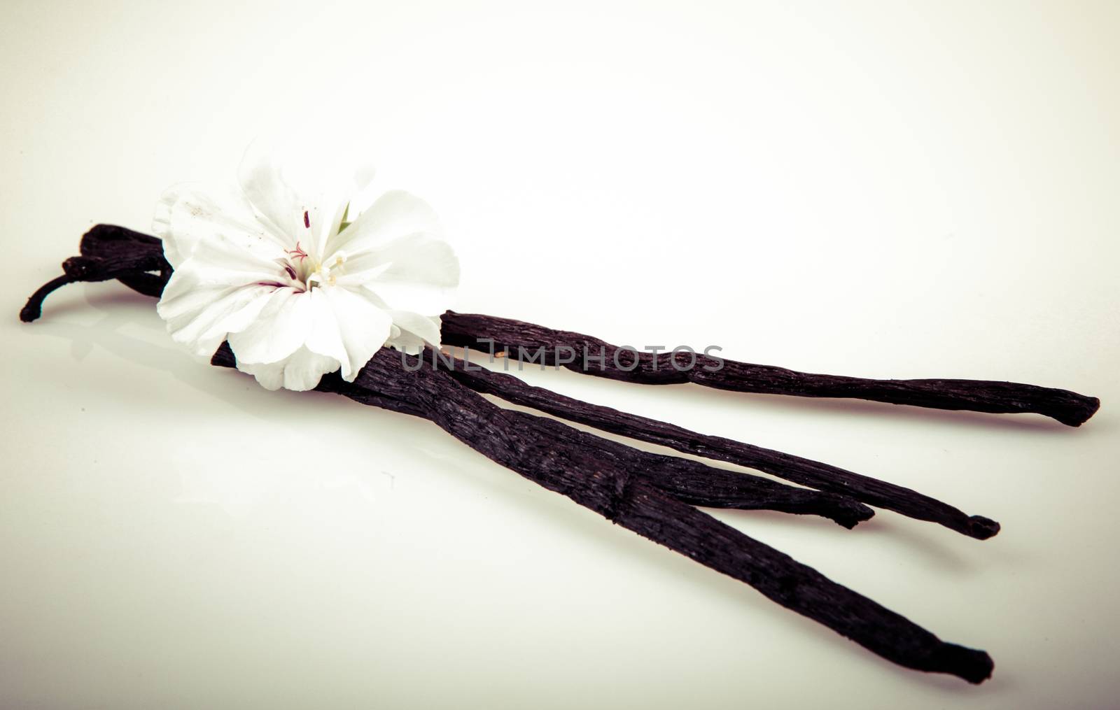 Vanilla Bean And Flower