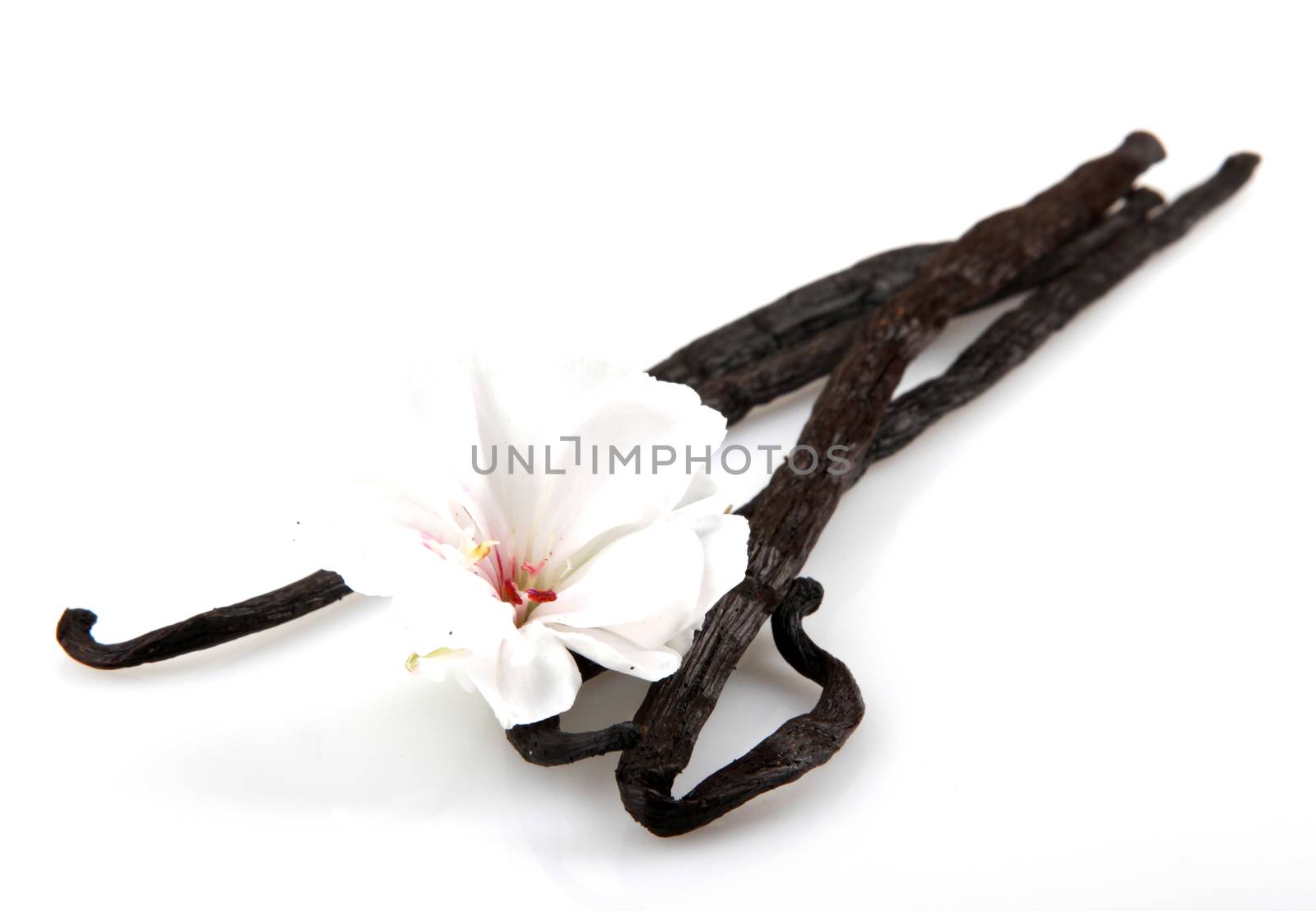 Vanilla Bean And Flower