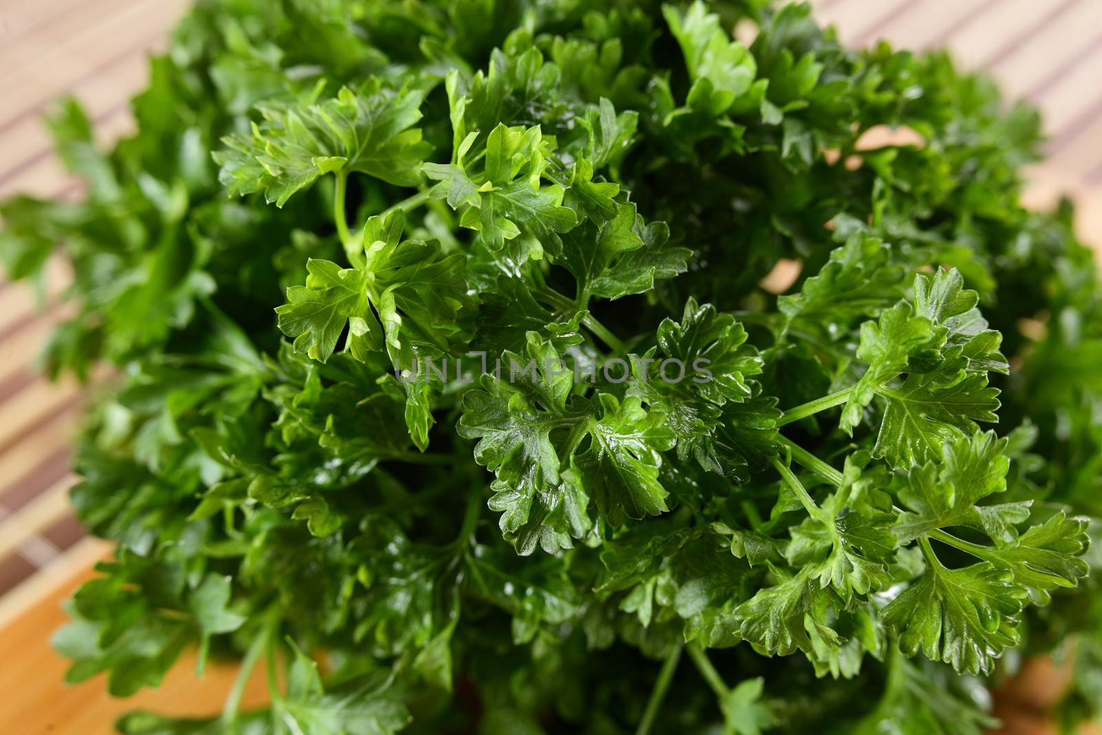 fresh tasty and wet salad on wooden background