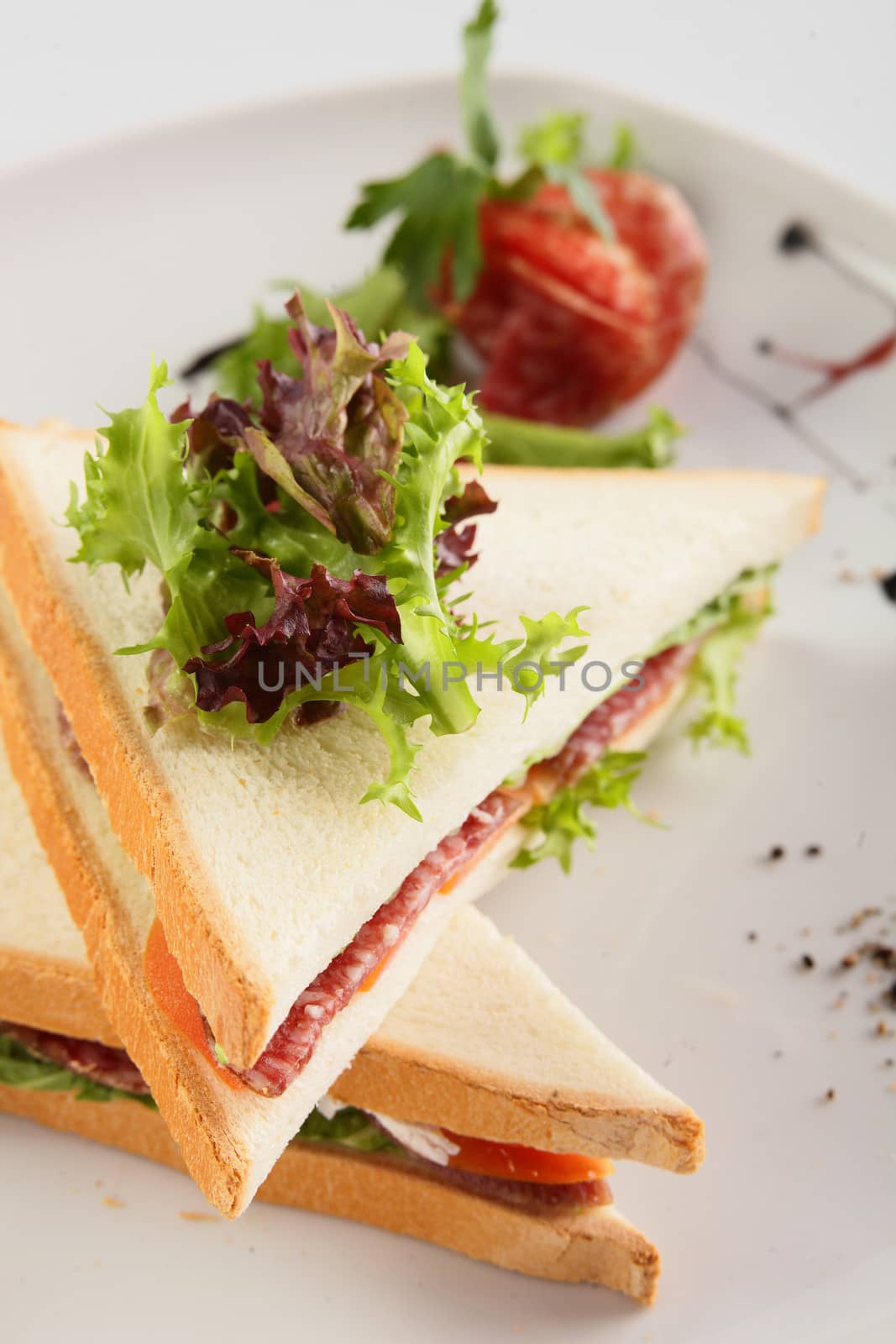 fresh and tasty sandwich on white background