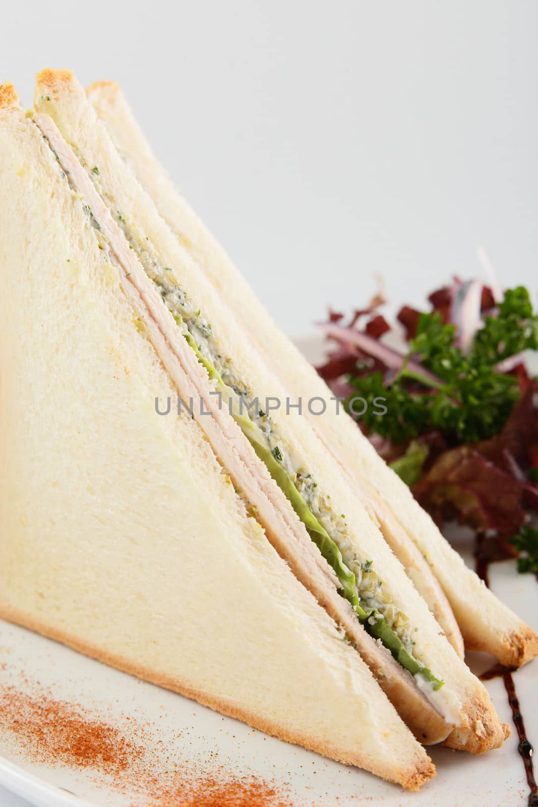 fresh and tasty sandwich on white background