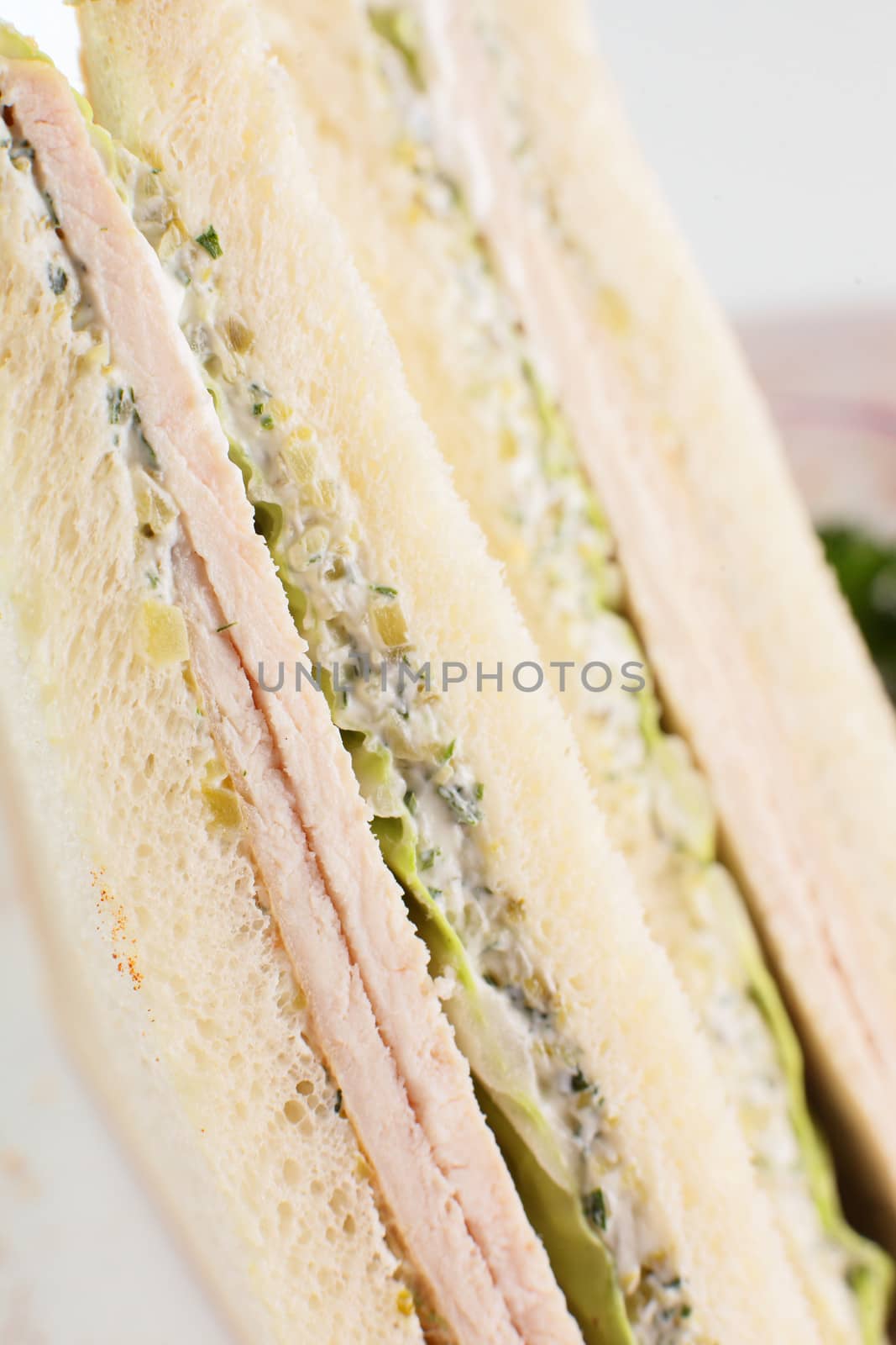 fresh sandwich on white background by fiphoto