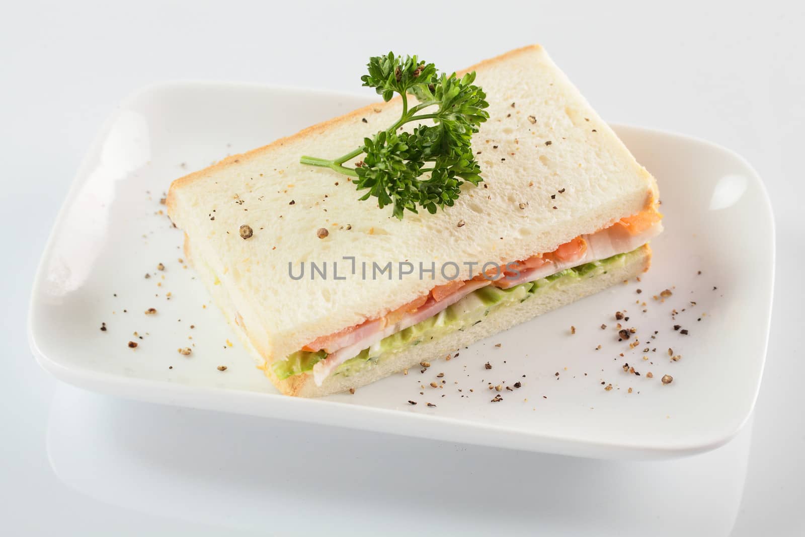 fresh and tasty sandwich on white background