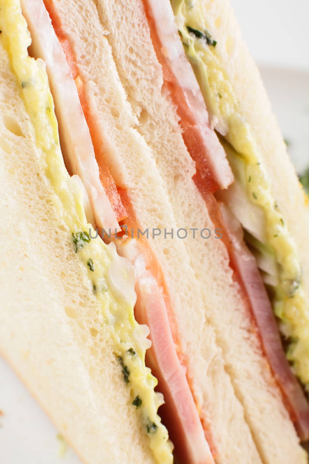 fresh and tasty sandwich on white background