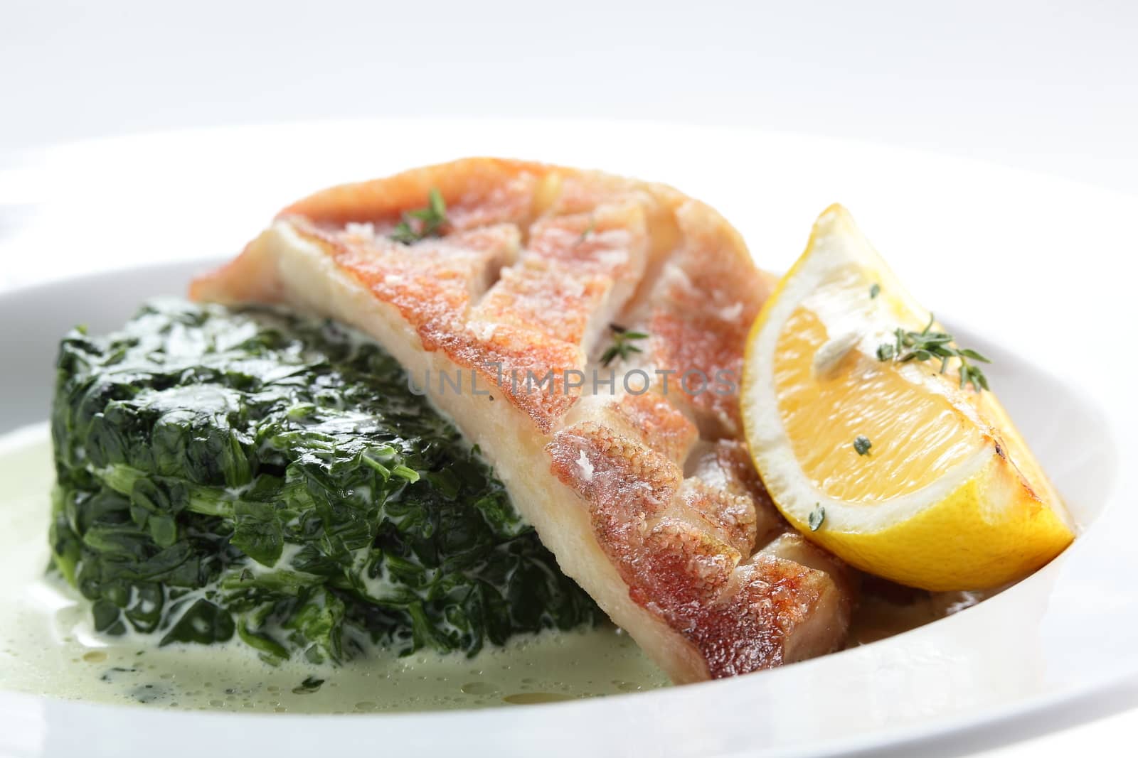 cold peaces of fish with garnish by fiphoto