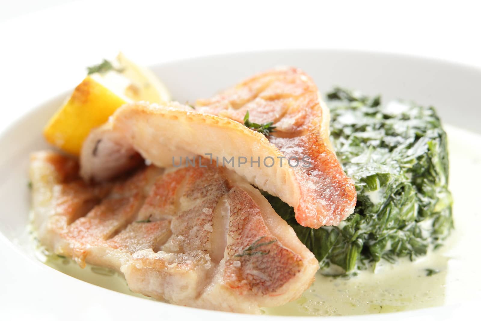 cold and fresh peaces of fish on white dish