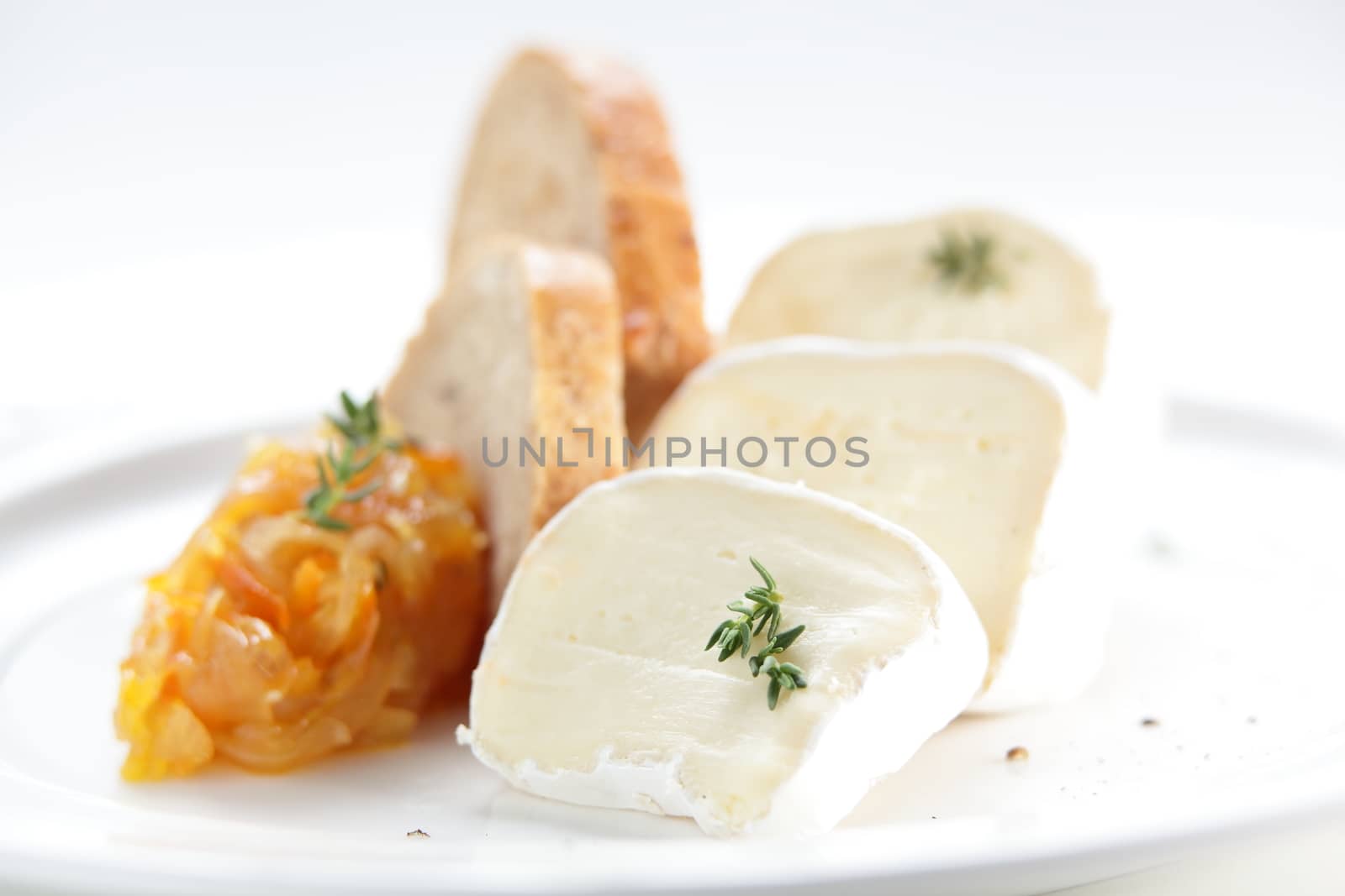 tasty peaces of cheese on white dish with garnish