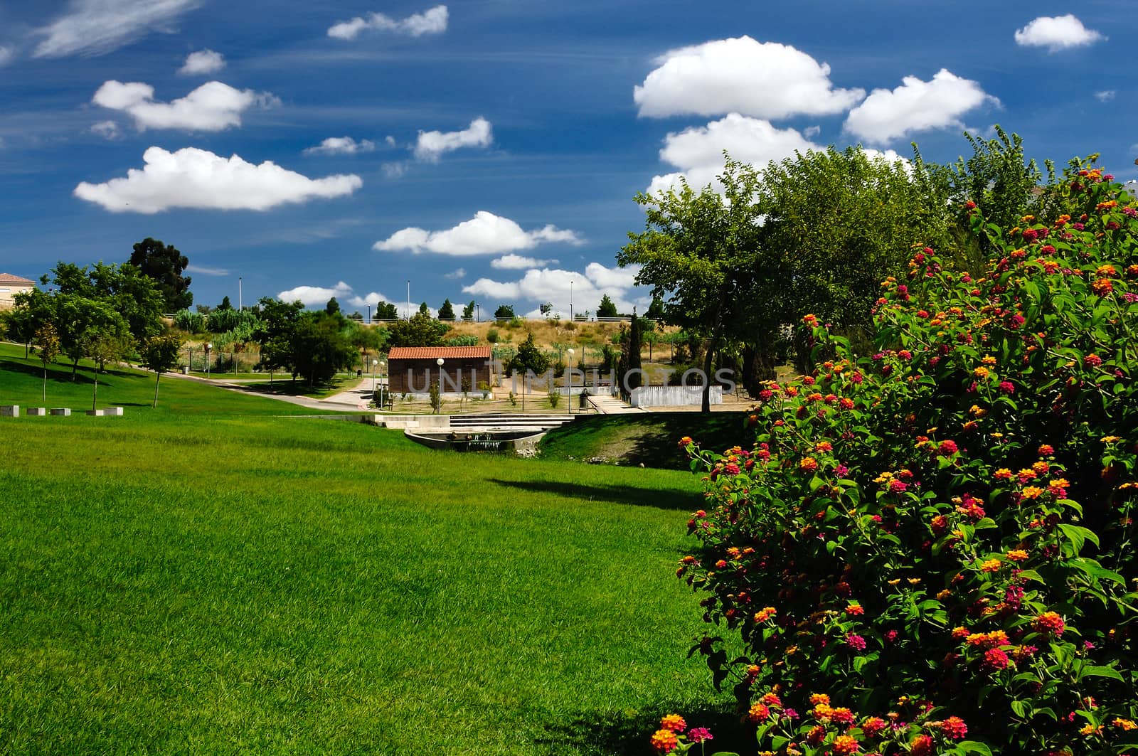 Beautiful summer landscape of the Barreiro garden, Portugal.