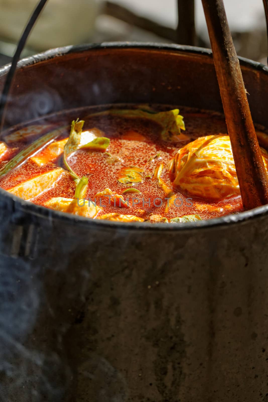 food cooking in stew pot in the nature