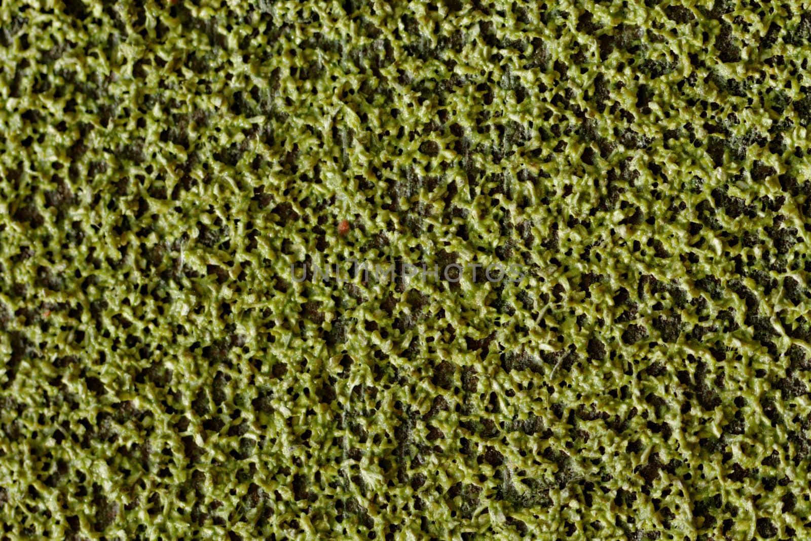 abstract green background from dye paint texture