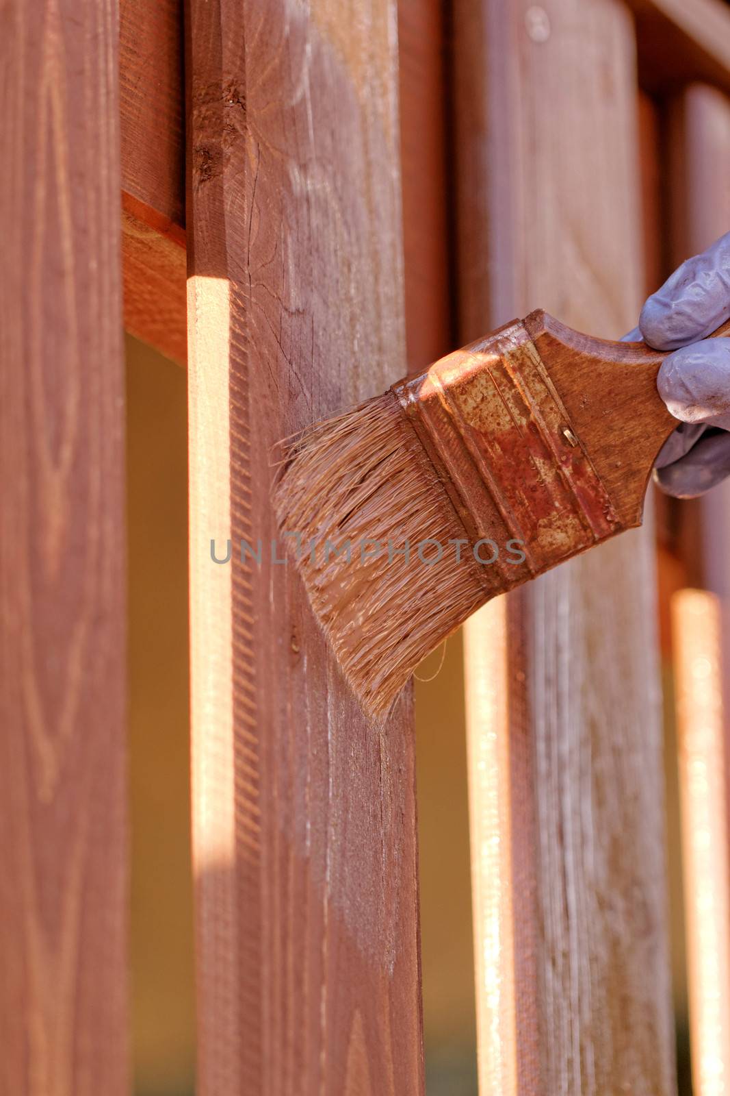 planks fence dyeing with brown paint and brush