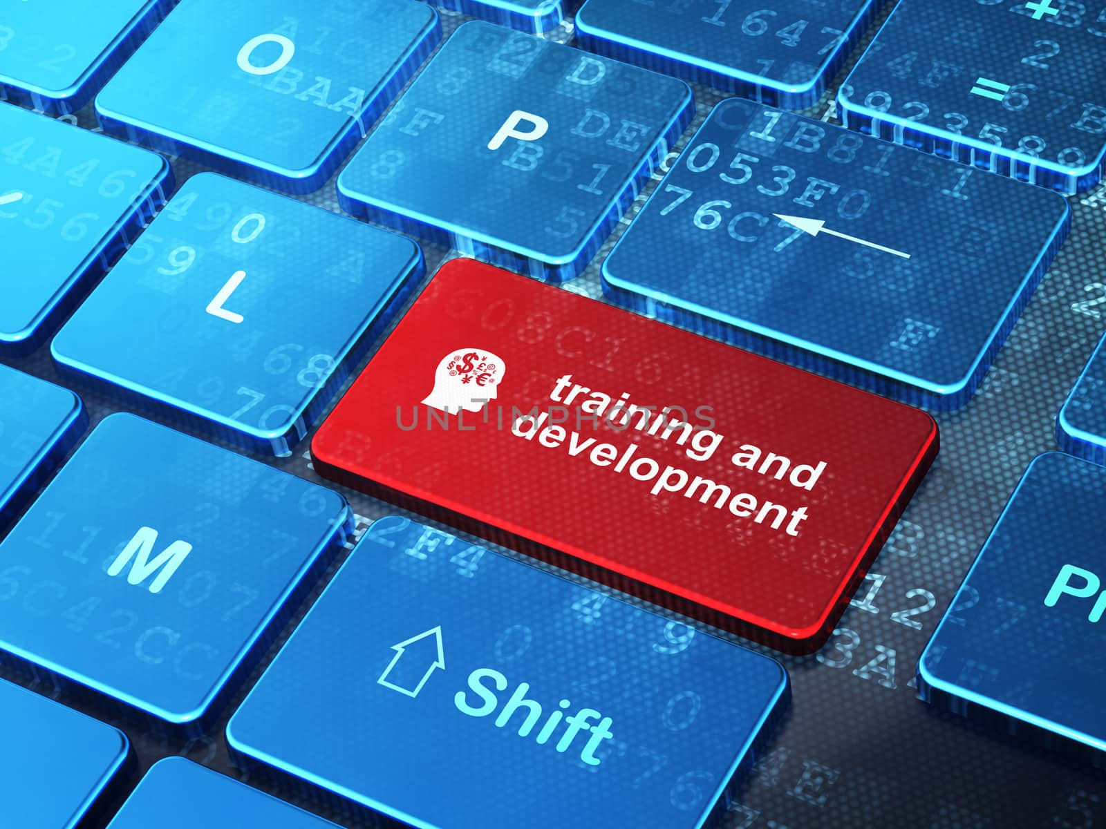 Education concept: computer keyboard with Head With Finance Symbol icon and word Training and Development on enter button background
