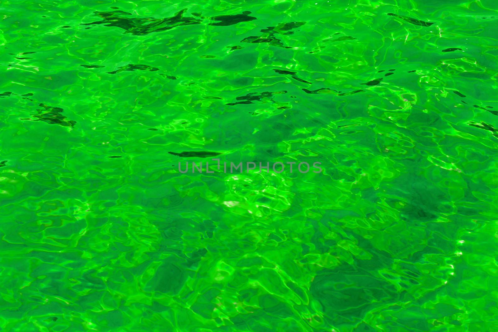 poison green abstract background of wavy water surface