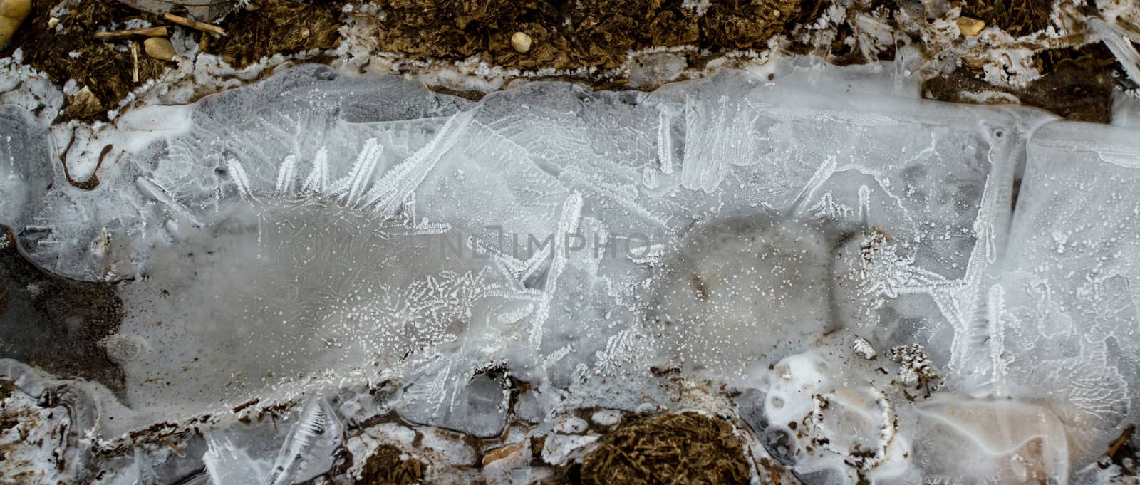 ice in the frozen earth