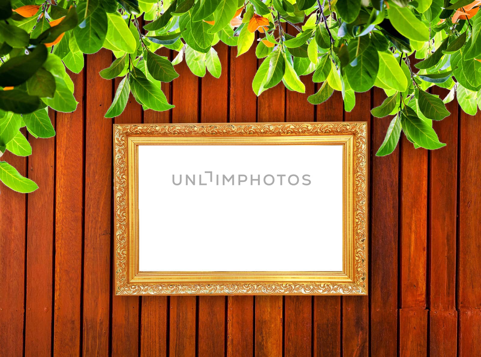 Wall with photo frames and branches.