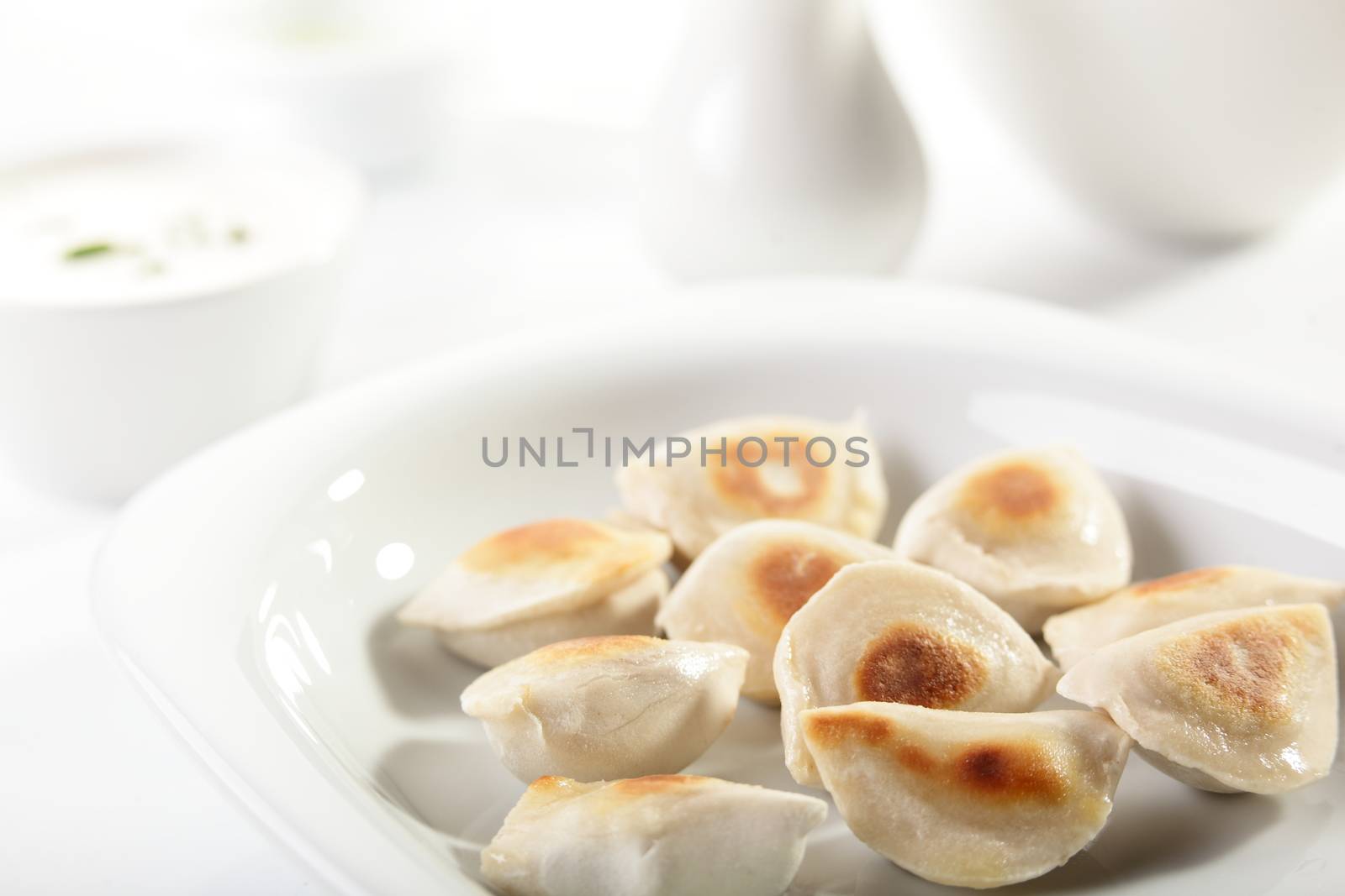 hot and tasty dumplings on a dish