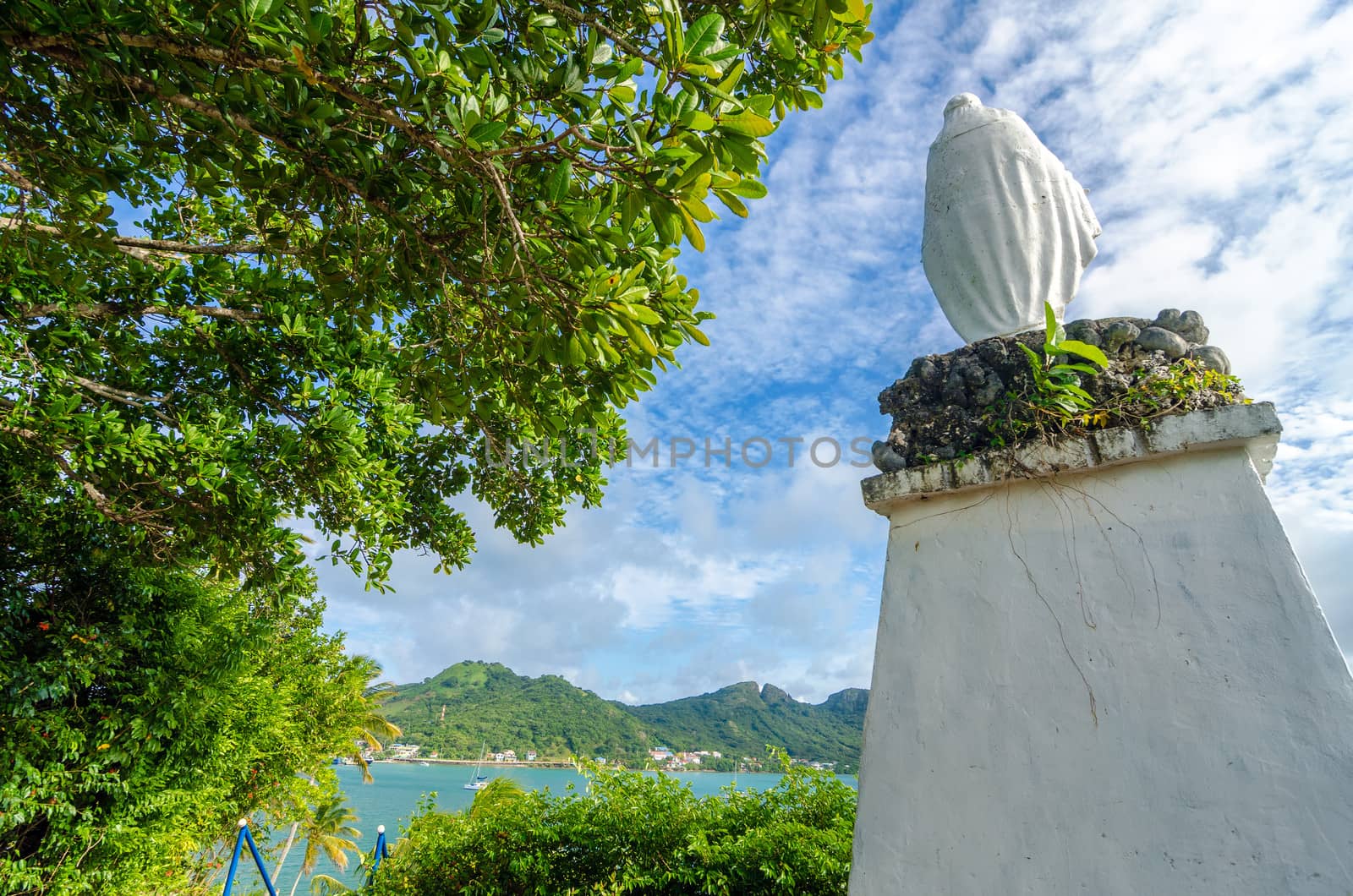 Tropical Statue of Mary by jkraft5