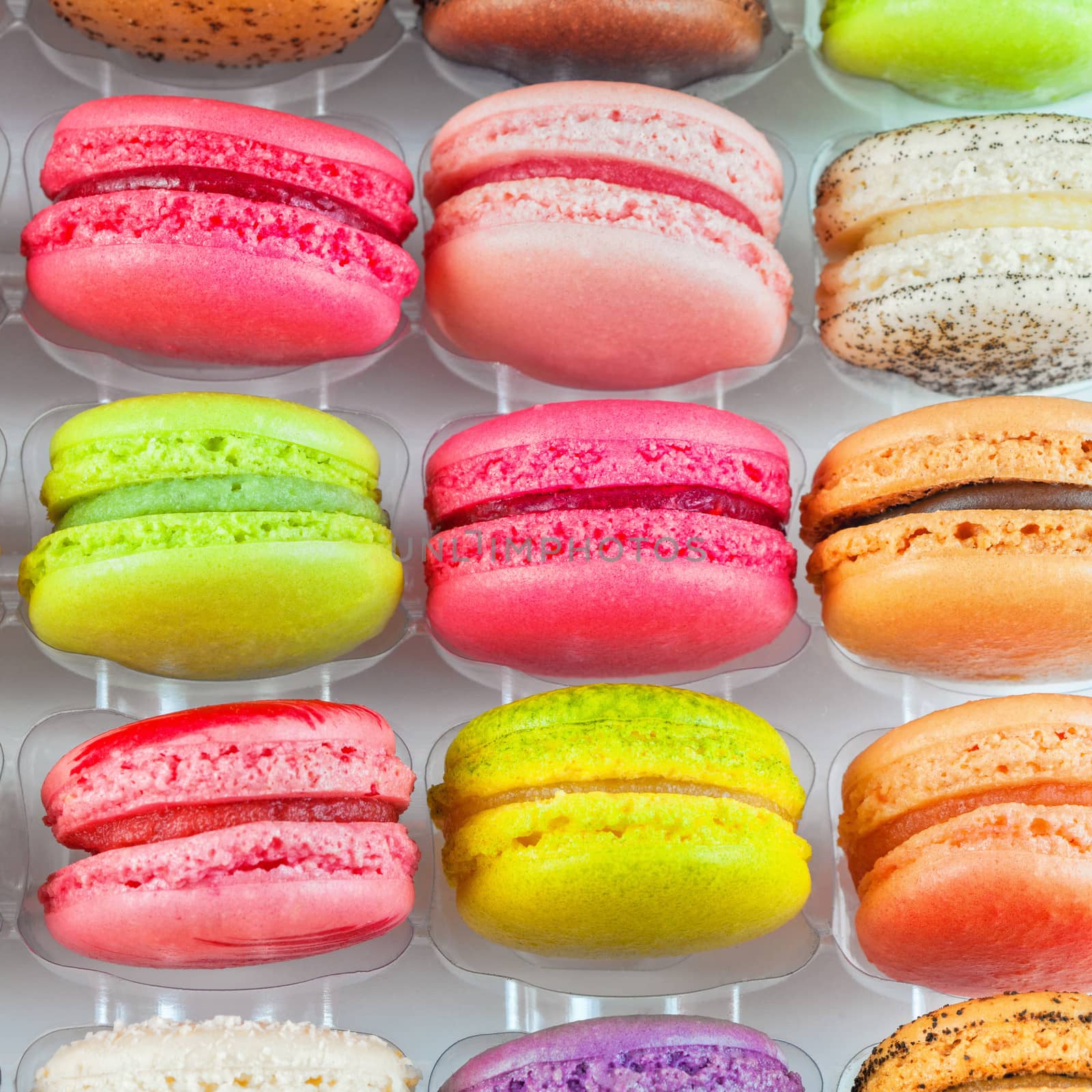 traditional french colorful macarons in a rows in a box