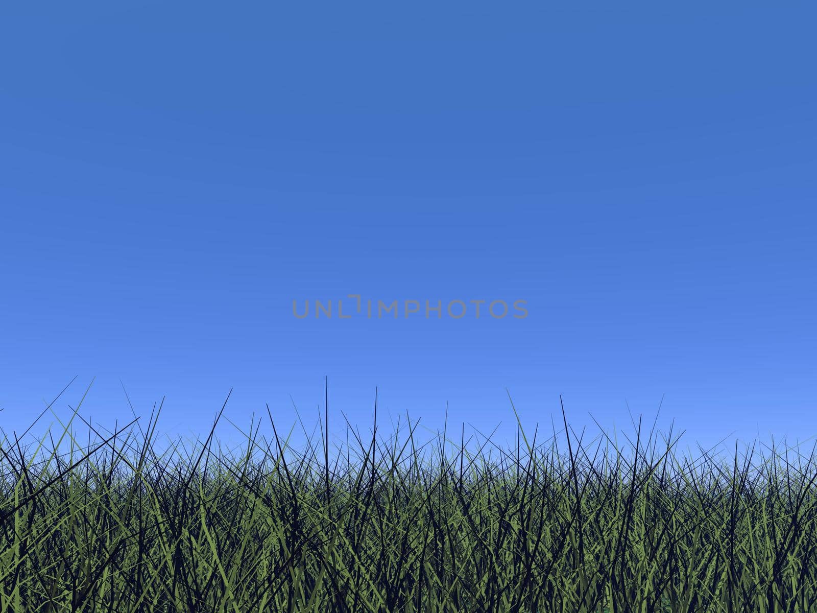 Grass and blue sky - 3D render by Elenaphotos21