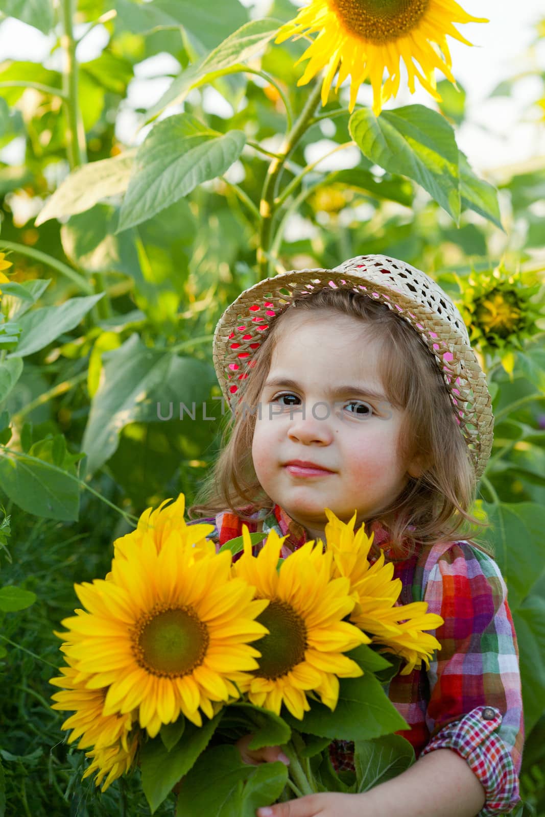 Little girl in a summer hat among sunflowers