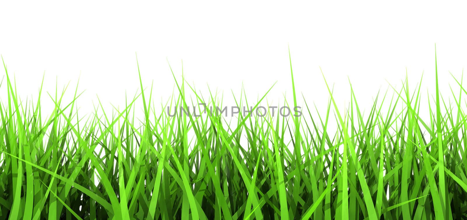 3D generated Green Blades of Grass Isolated on White Background