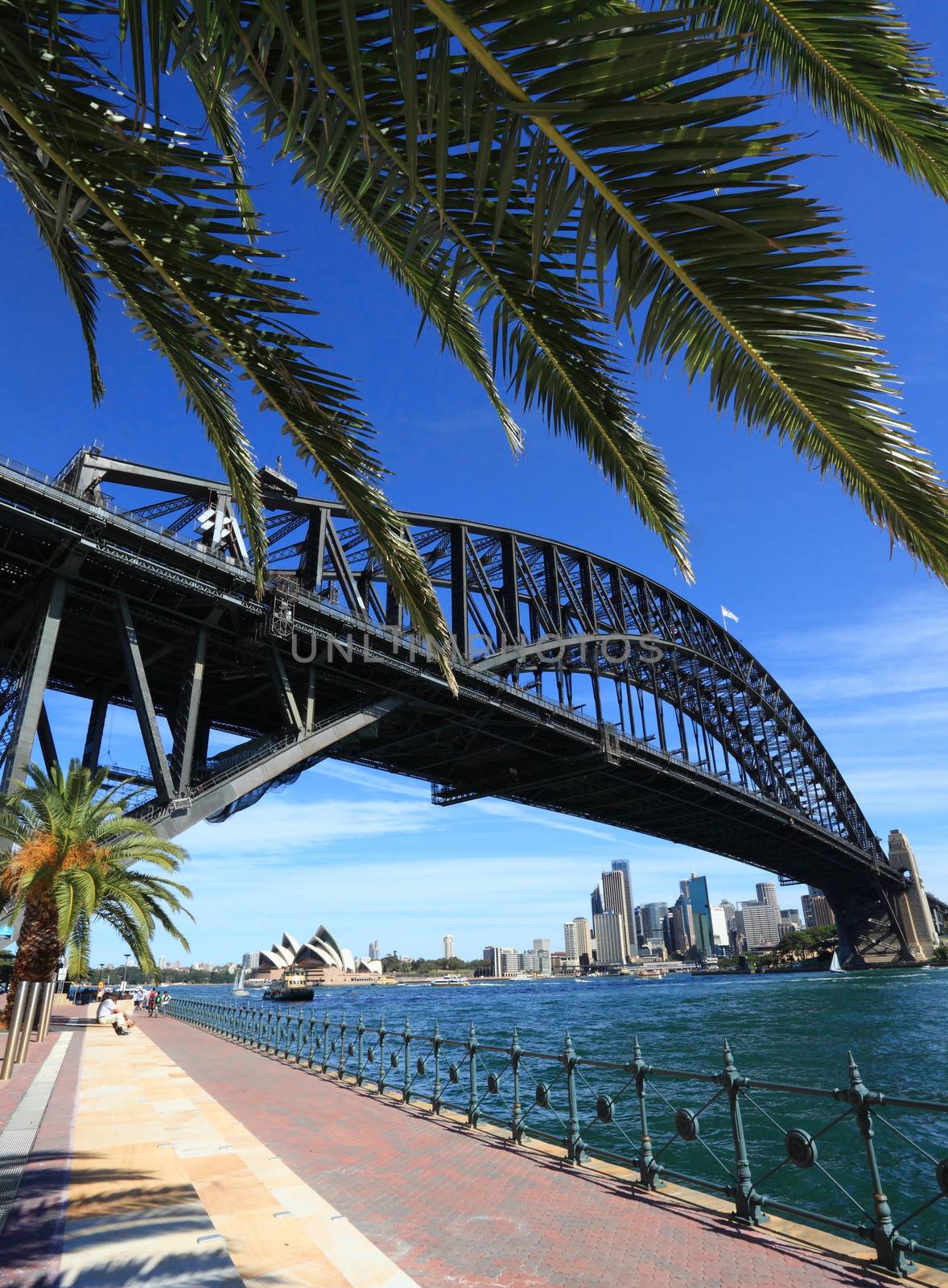 Sydney Harbour Bridge and Opera House by lovleah