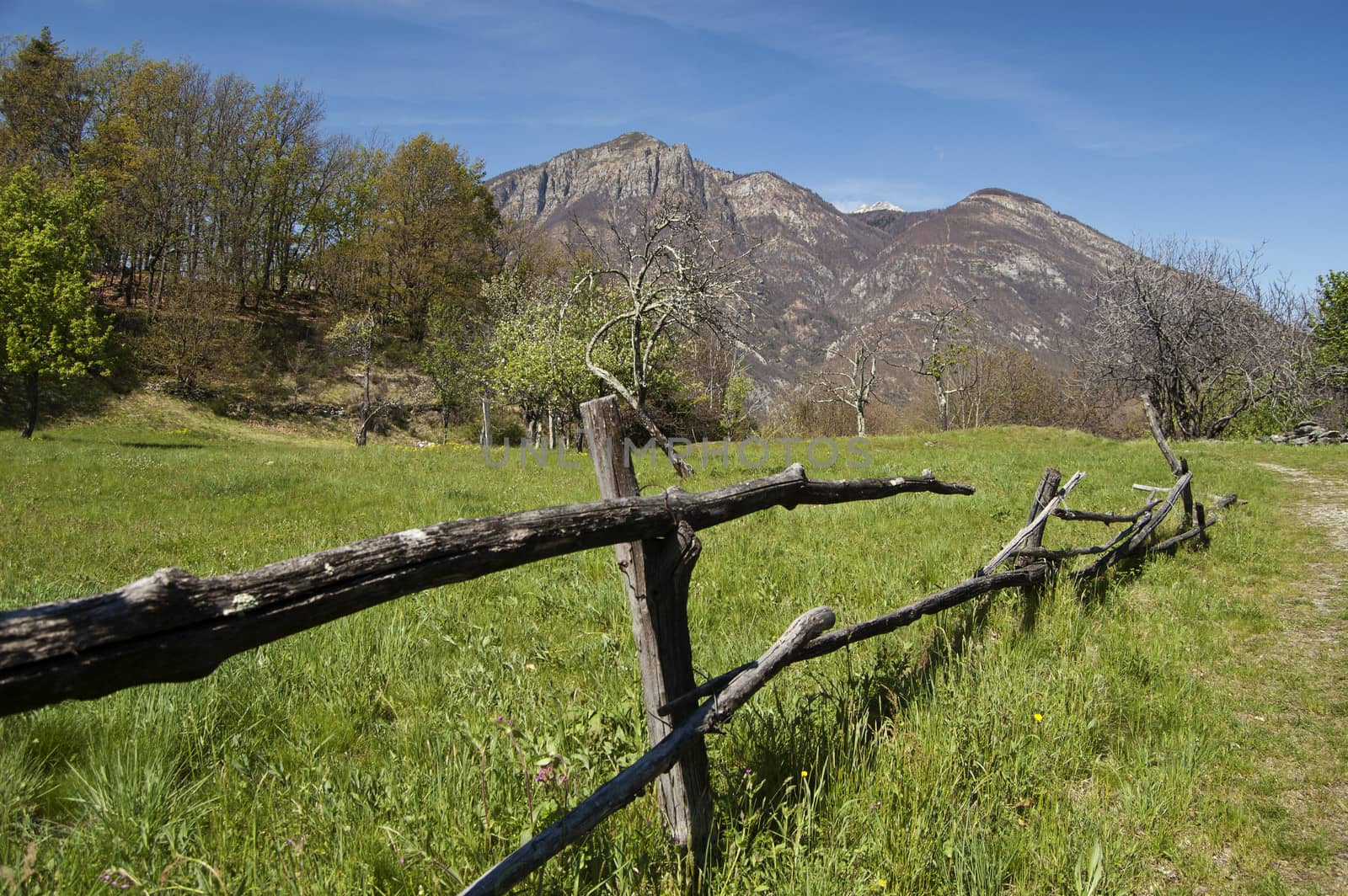 Rural scene of a spring meadow with fence, Domodossola, Italy