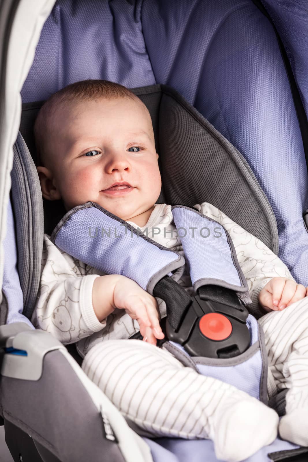 Cute little boy wearing a seat in the child car seat by photobac