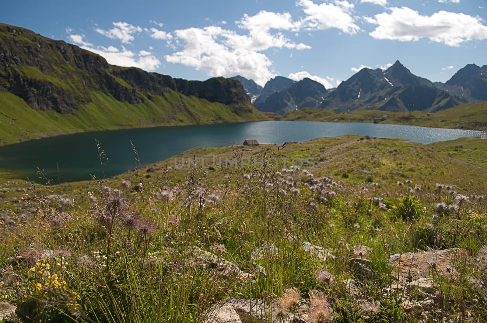 Alpine meadow with lake in background, Val Formazza, Italy
