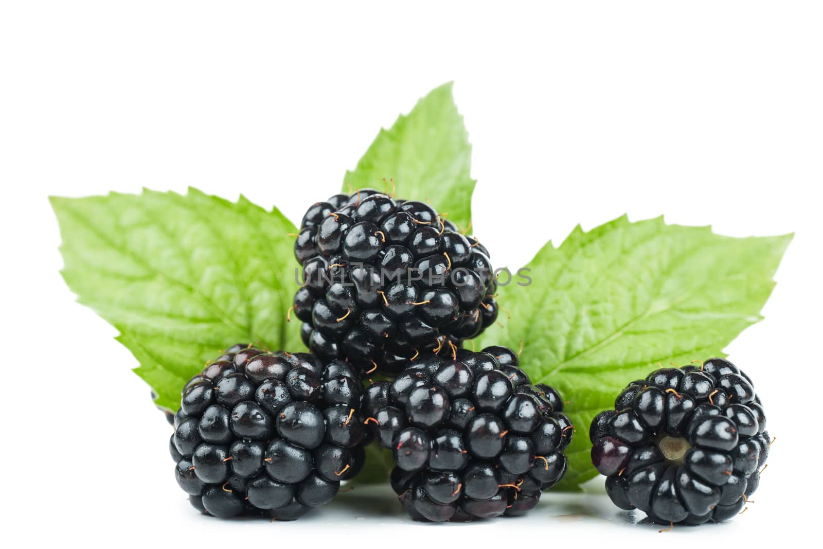 Macro view of fresh ripe blackberries