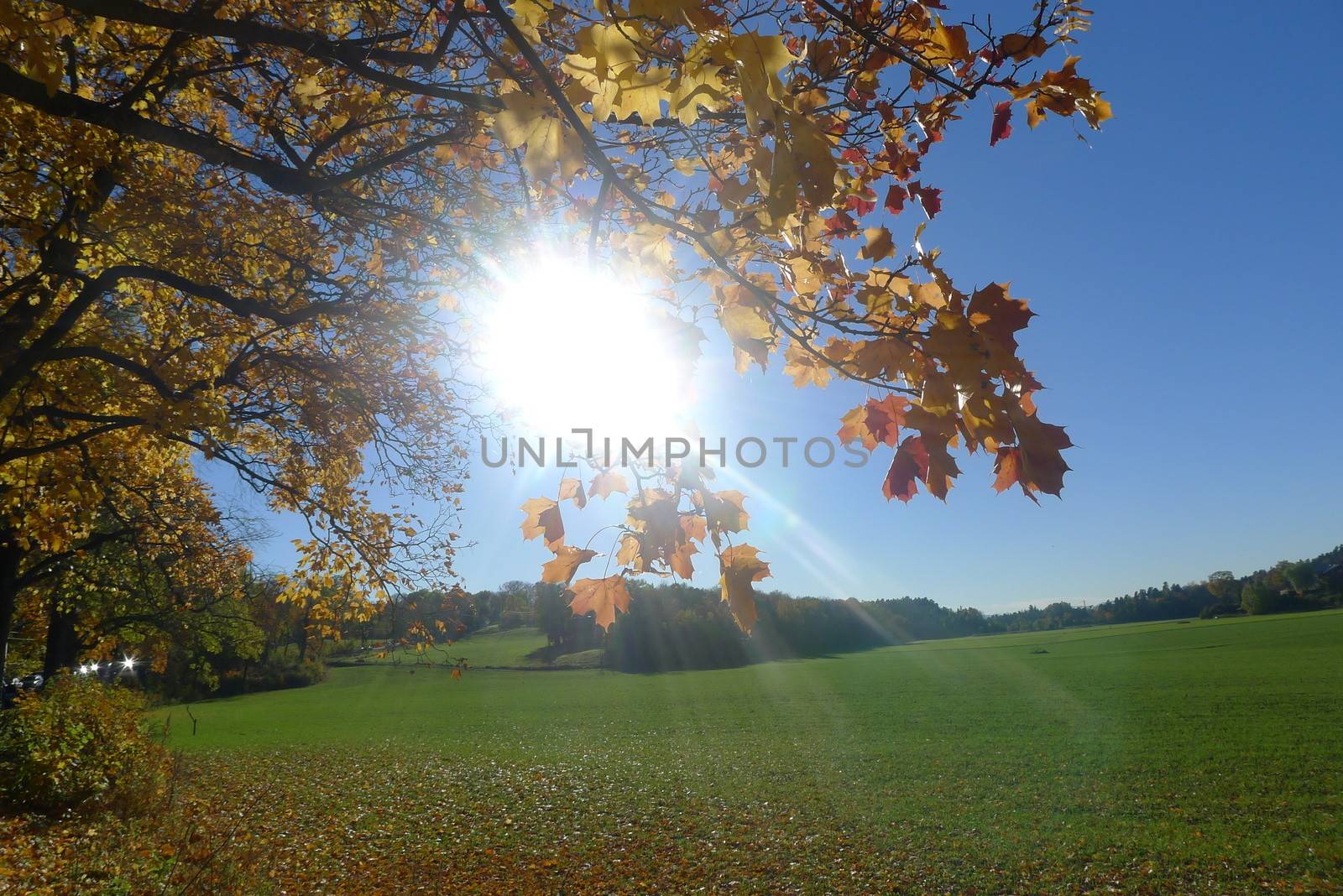 Sunny day in fall