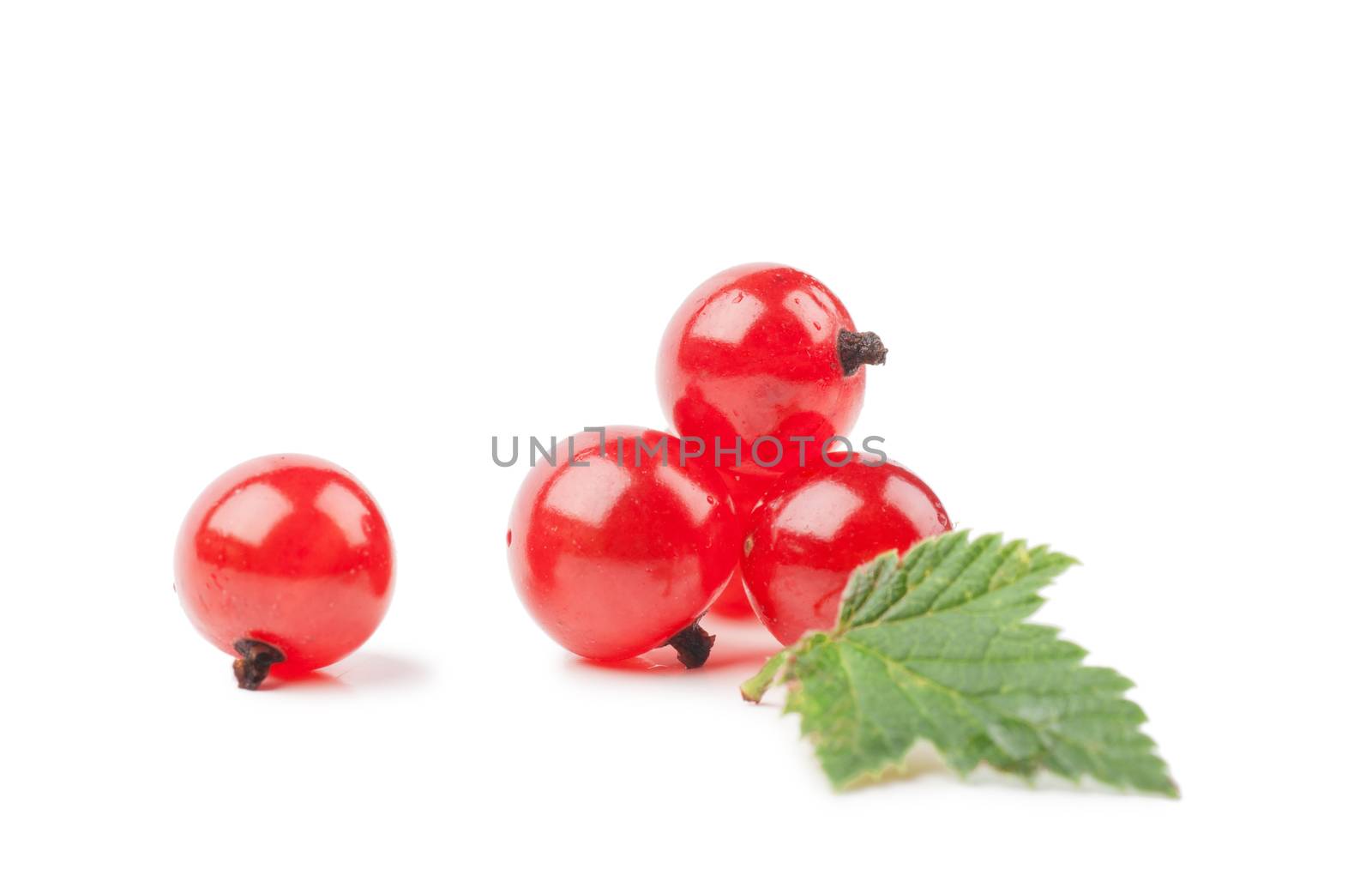 Red currants with green leaf isolated over white background