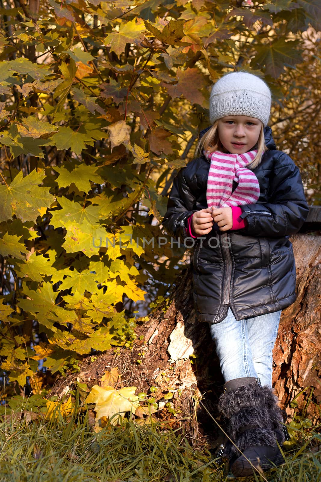 Cute girl in autumn park portrait