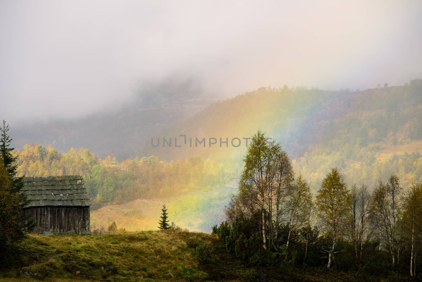 An old farm shed in the forest with a rainbow