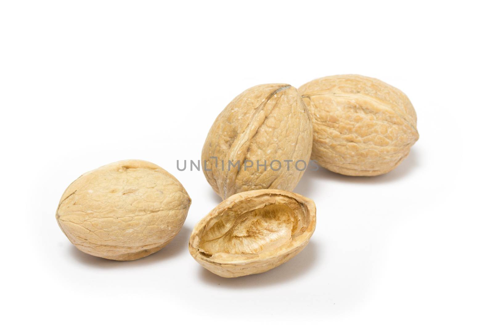 walnut by matteobragaglio