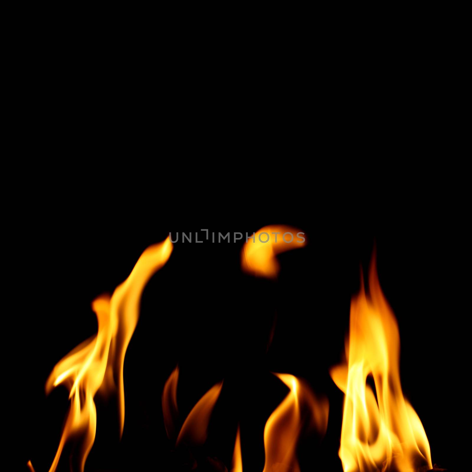 inferno flame fire on black background close up