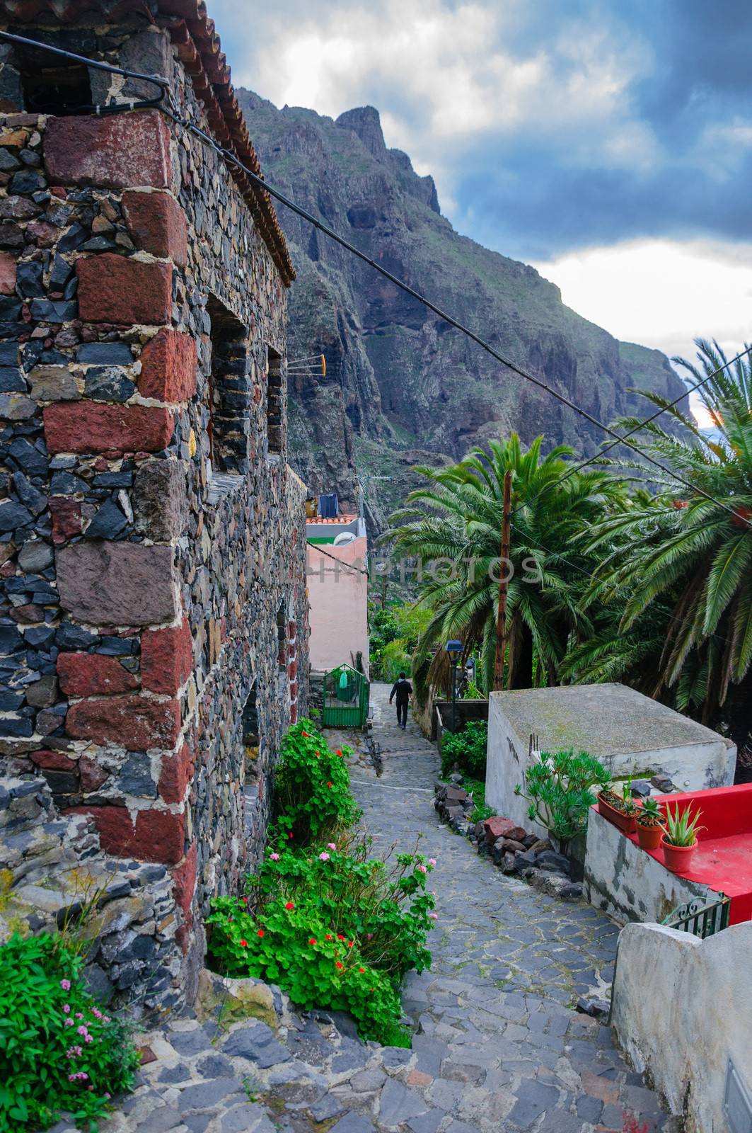 Street of Masca village with old houses, Tenerife, Canarian Isla by Eagle2308