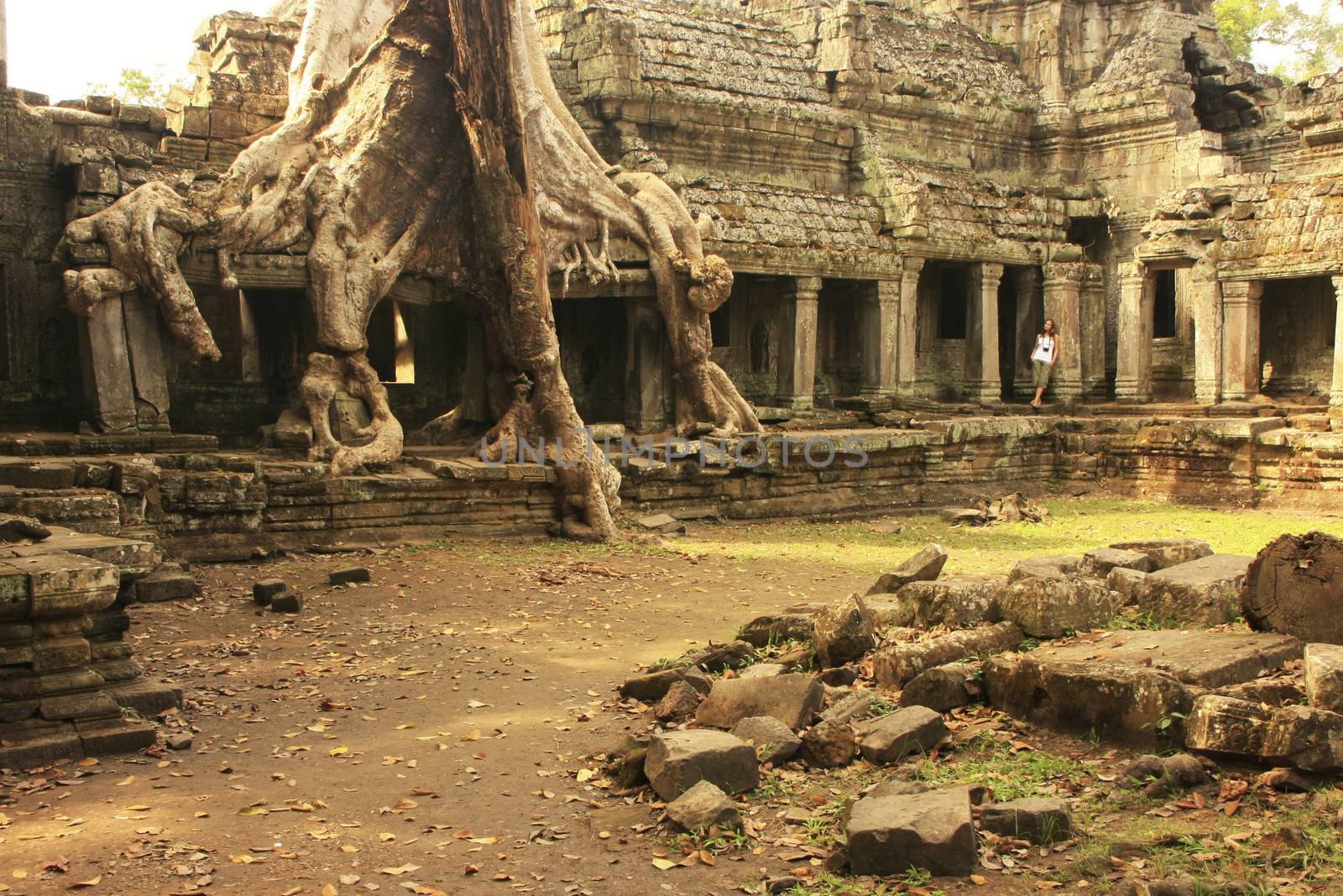 Preah Khan temple, Angkor area, Siem Reap, Cambodia