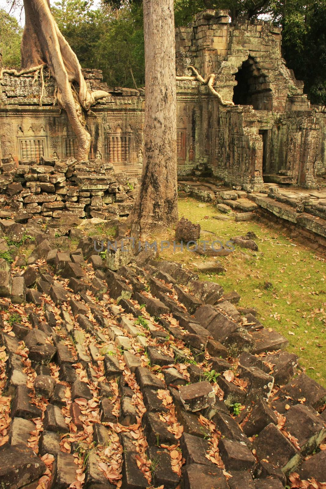 Preah Khan temple, Angkor area, Siem Reap by donya_nedomam