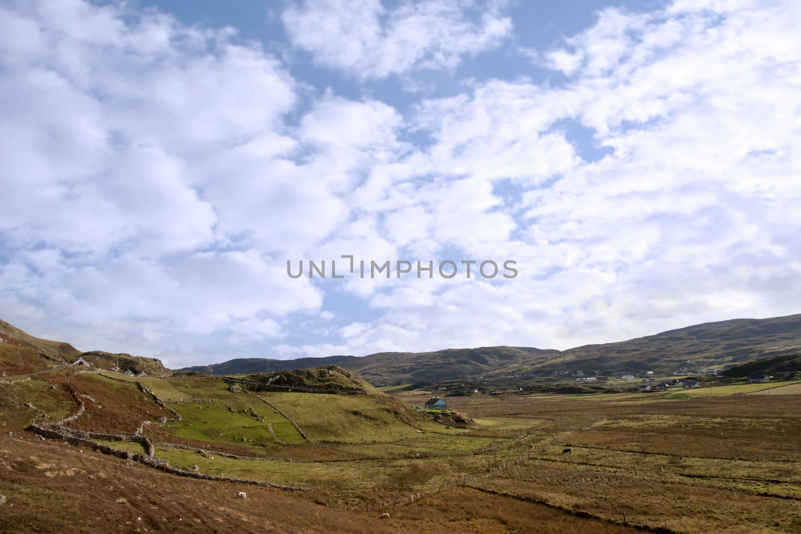 sheep grazing on the hills of Malainn Mhoir in Gleann Colm Cille, county Donegal Ireland