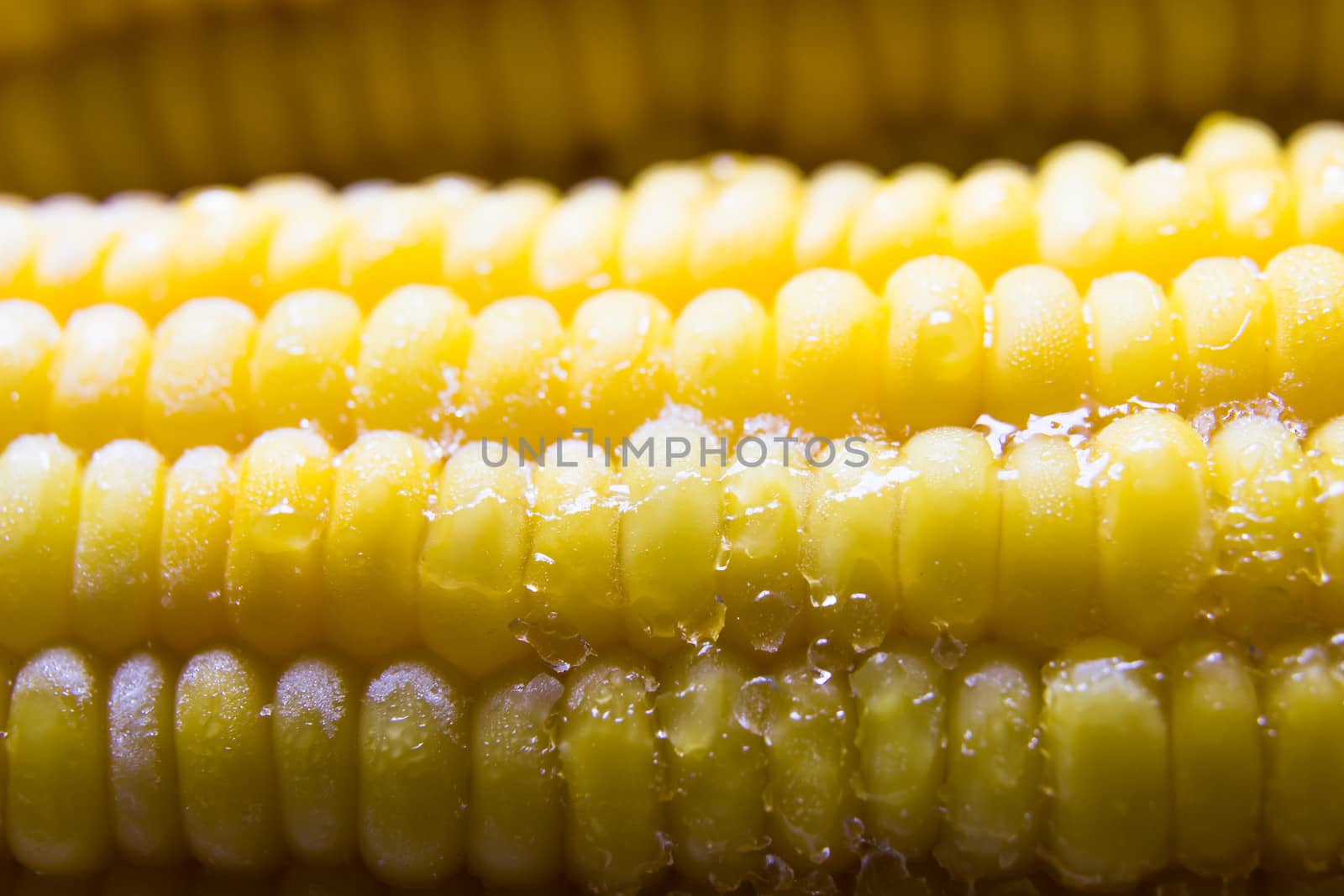 Sweet corn out of the refrigerator. by photo2life