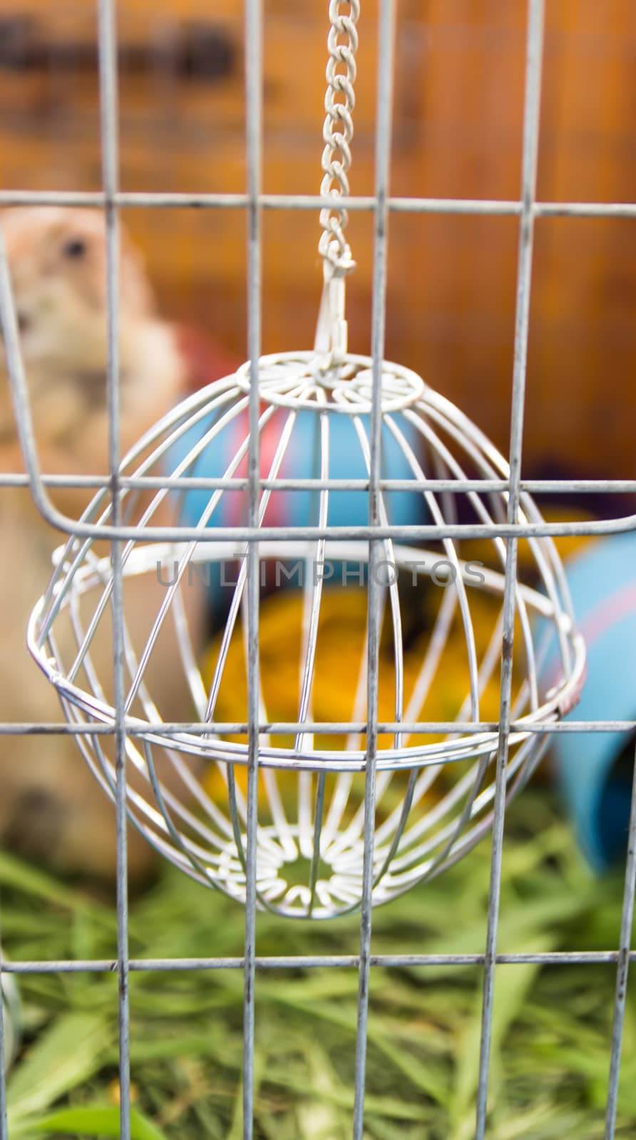 Close up cage and spherical cage